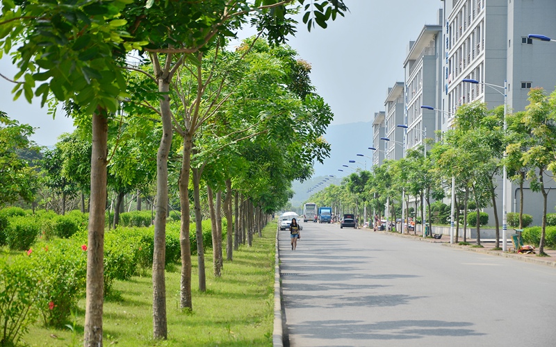 ★仲恺农业工程学院2022宁夏招生计划_仲恺农业工程学院2022宁夏招生专业及招生人数汇总