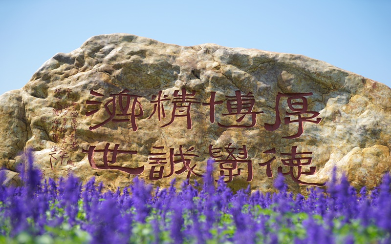2024考生参考：2023广州中医药大学针灸推拿学专业在重庆招生录取分数及录取位次