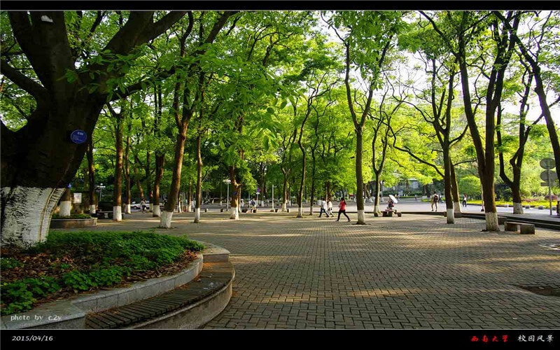 2024考生参考：2023西南大学经济学类专业在河北招生录取分数及录取位次
