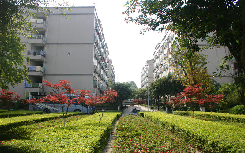 【2022高考参考】重庆对外经贸学院2021年安徽省最低录取分数及位次