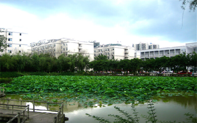 2023年重庆对外经贸学院在陕西招生专业及招生人数汇总