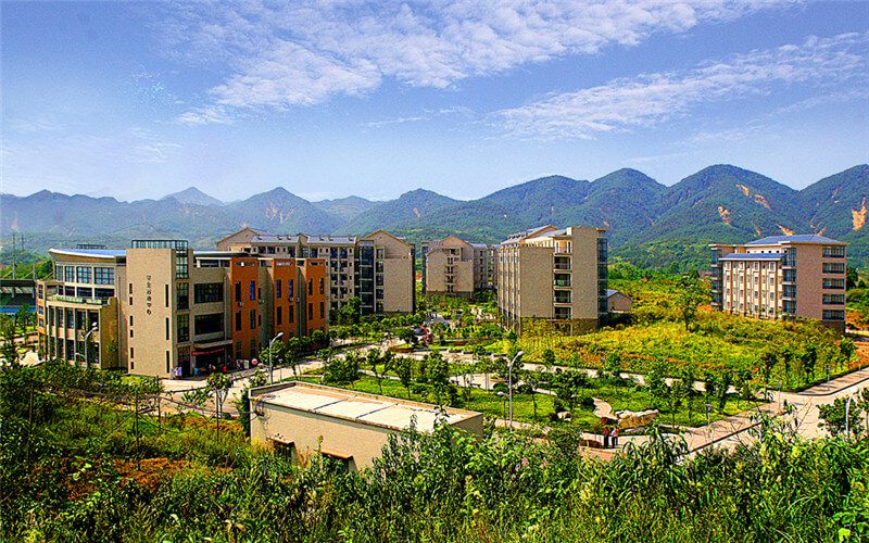 2023年重庆师范大学在山东录取批次及录取分数参考