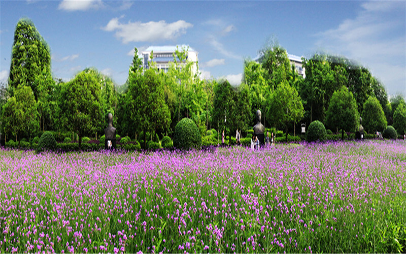 2023年重庆师范大学在黑龙江录取批次及录取分数参考