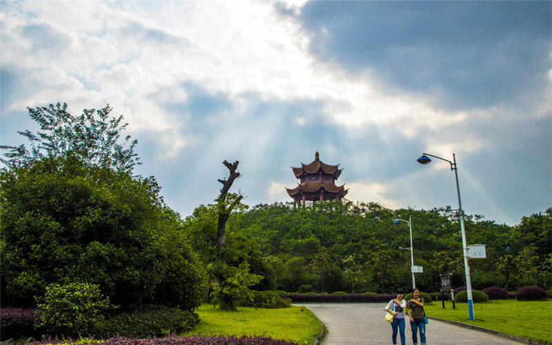 2023年浙江考生多少分可以上重庆师范大学历史学（师范）专业？