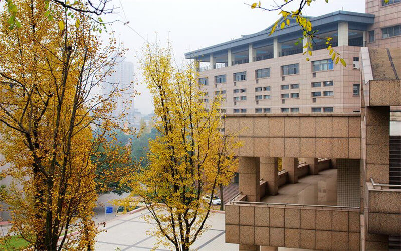 重庆医科大学医学影像技术专业录取分数线【青海高考理科】