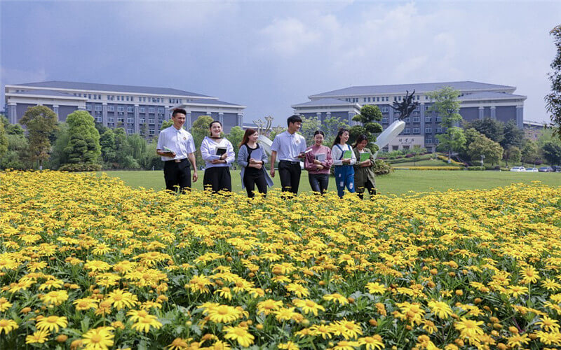 重庆能源职业学院电梯工程技术专业在重庆招生录取分数(物理类)：292分