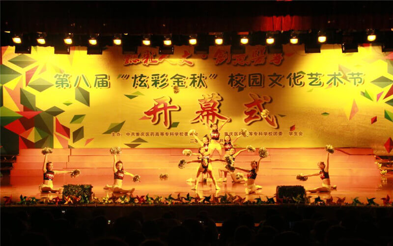重庆医药高等专科学校助产专业在重庆招生录取分数(物理类)：440分