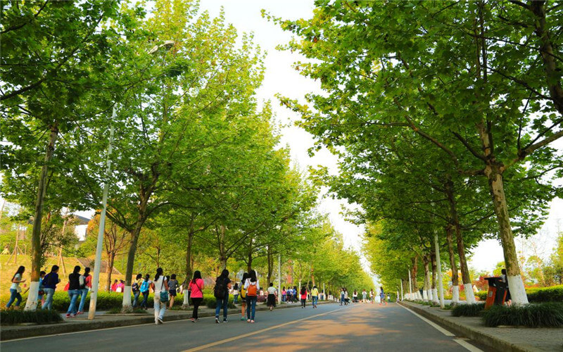 2023年重庆医药高等专科学校在云南招生专业及招生人数汇总