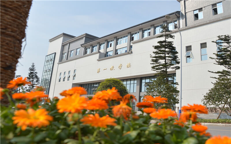 2023年重庆商务职业学院在新疆招生专业及招生人数汇总(2024考生参考)