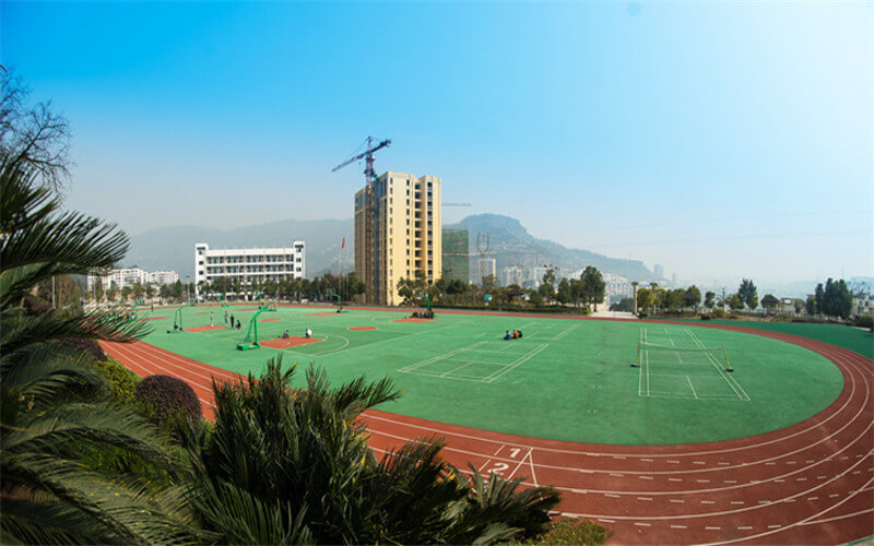 重庆科技职业学院建筑装饰工程技术专业在河北招生录取分数(物理类)：315分