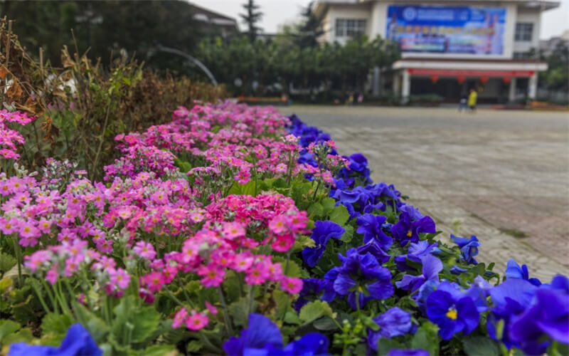 重庆海联职业技术学院高速铁路客运服务专业在河北招生录取分数(物理类)：235分