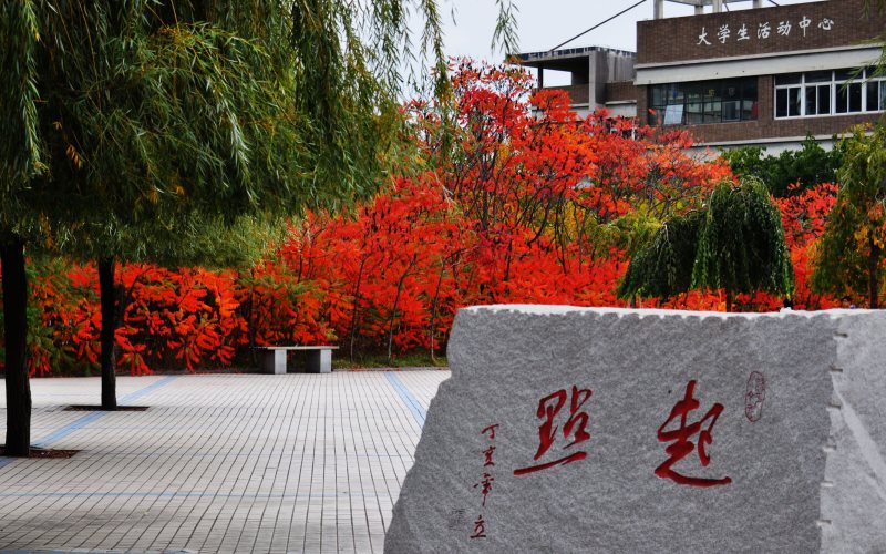 沈阳建筑大学智能制造工程专业录取分数线【北京高考综合】