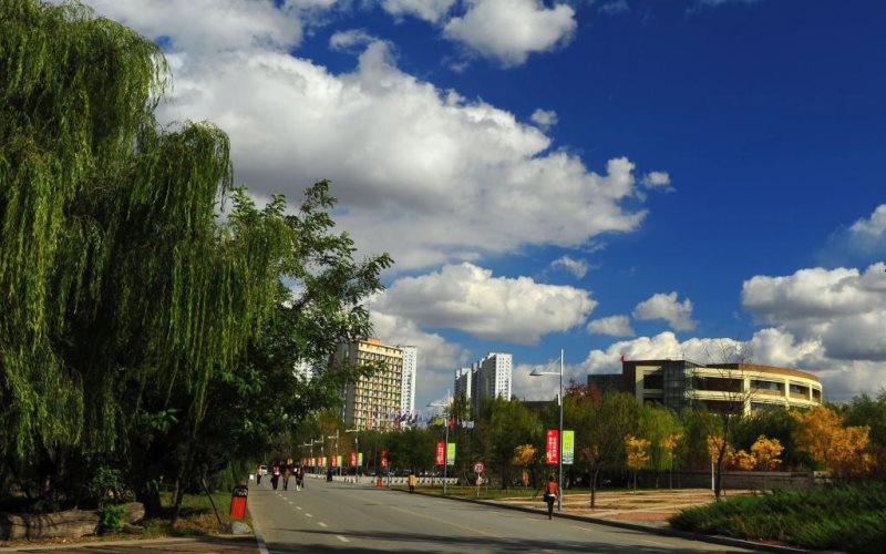2023年沈阳建筑大学在浙江招生专业及招生人数汇总(2024考生参考)