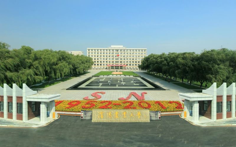 2022年沈阳农业大学在广西招生专业及招生人数汇总（2023考生参考）