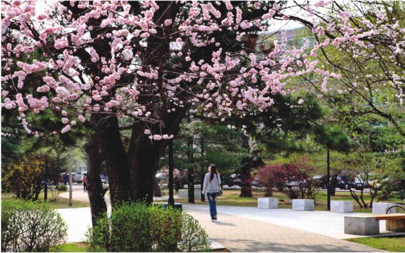 2023年沈阳农业大学在甘肃招生专业及招生人数汇总