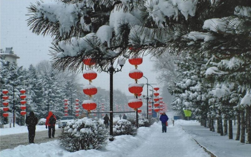 沈阳农业大学农业资源与环境专业录取分数线【河北高考物理类】
