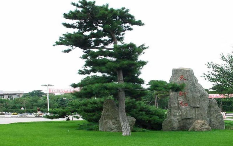 ★锦州医科大学2022湖南招生计划_锦州医科大学2022湖南招生专业及招生人数汇总