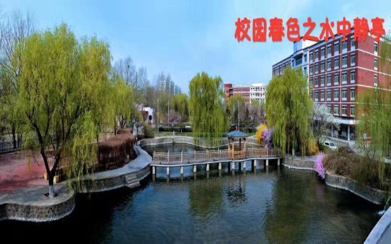 沈阳化工大学在吉林各专业录取分数一览表(含2021-2020历年)