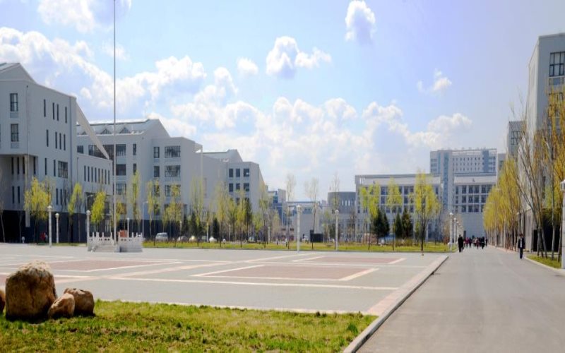 2024年铁岭师范高等专科学校小学英语教育专业在辽宁录取分数线参考