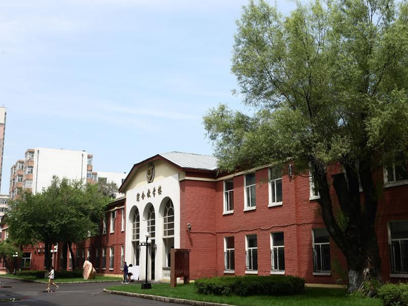 黑龙江艺术职业学院乐器制造与维护专业录取分数线【四川高考文科】