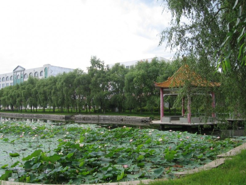 2023年鹤岗师范高等专科学校在陕西招生专业有哪些？学费是多少？