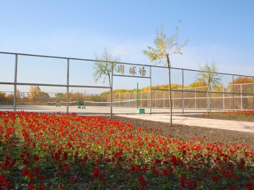 鹤岗师范高等专科学校小学语文教育专业在河北招生录取分数(历史类)：404分