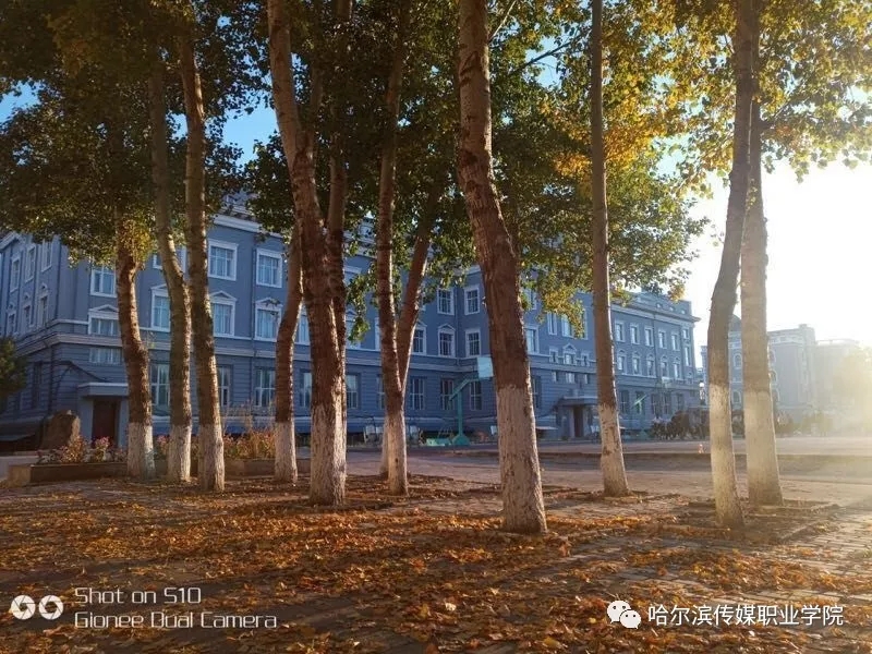 2023年哈尔滨传媒职业学院在广西录取批次及录取分数参考