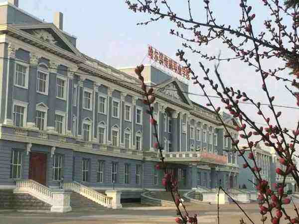 哈尔滨传媒职业学院在黑龙江各专业录取分数一览表(含2021-2020历年)