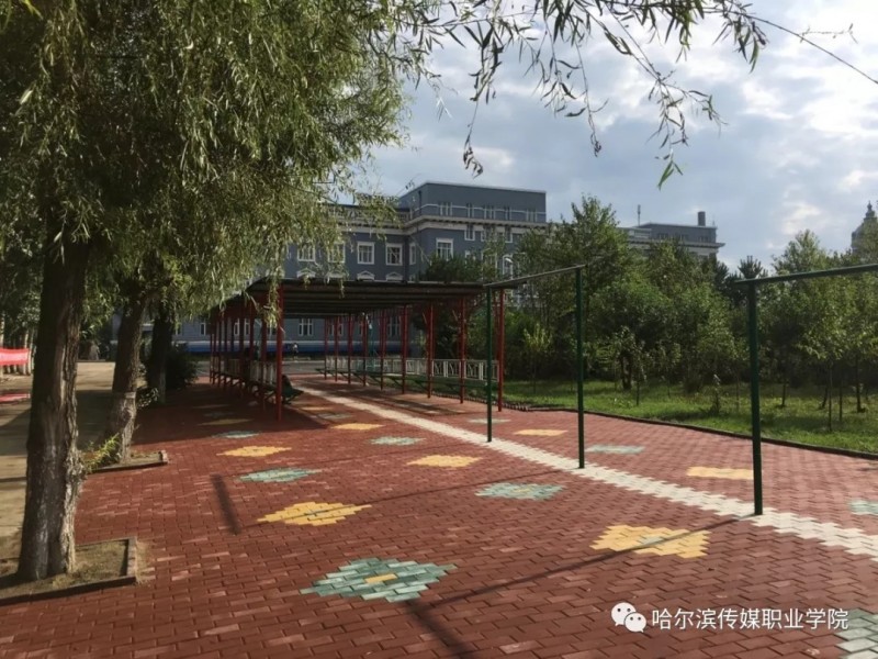 哈尔滨传媒职业学院2022黑龙江理科招生专业及招生人数汇总