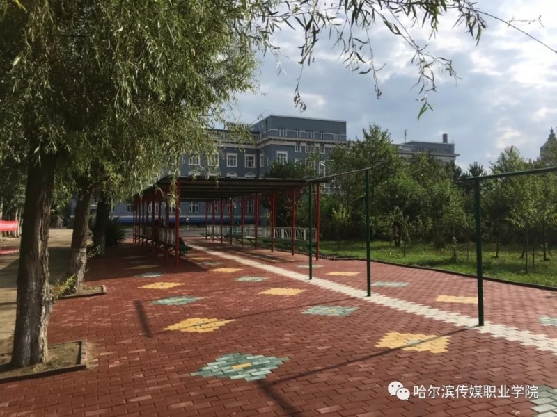 多少分可以上哈尔滨传媒职业学院？哈尔滨传媒职业学院2022年在广西各招生专业录取分数汇总