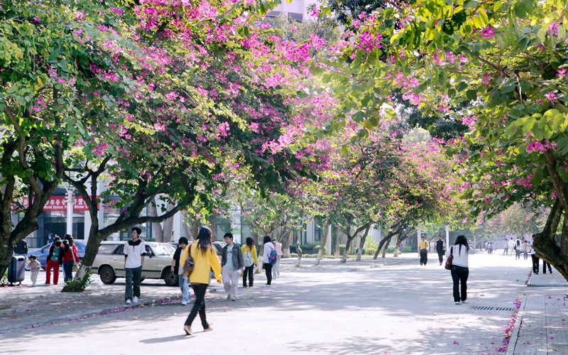 海南师范大学英语专业在云南招生录取分数(文科)：599分