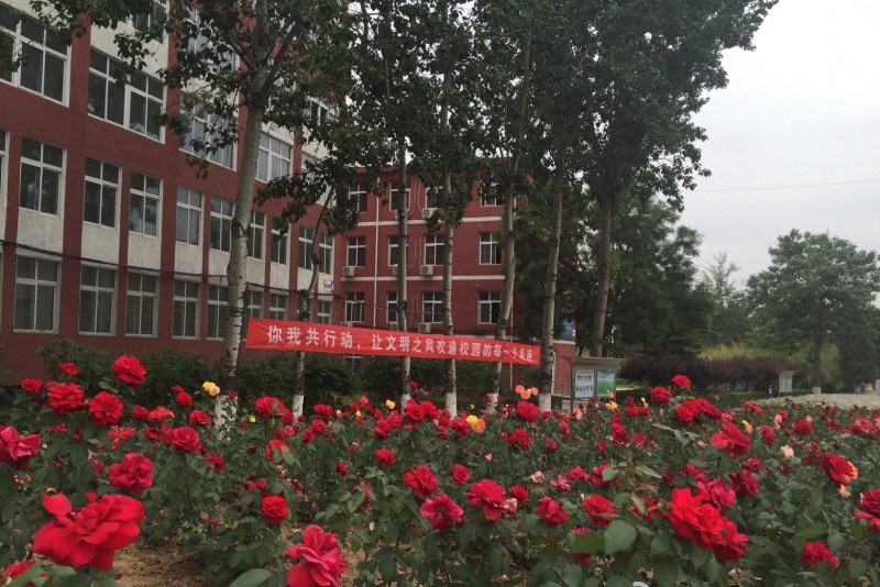 2023年黑龙江三江美术职业学院在山西招生专业及招生人数汇总