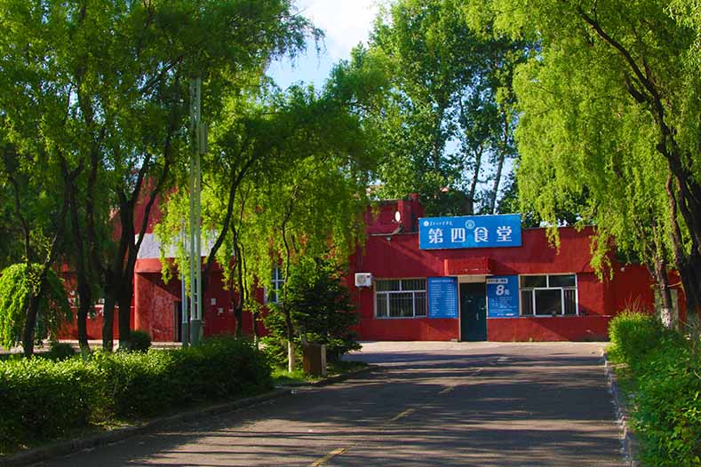 黑龙江工业学院数据科学与大数据技术专业在河北招生录取分数(物理类)：493分