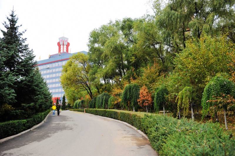 【2022高考参考】黑龙江工业学院2021年内蒙古最低录取分数及位次