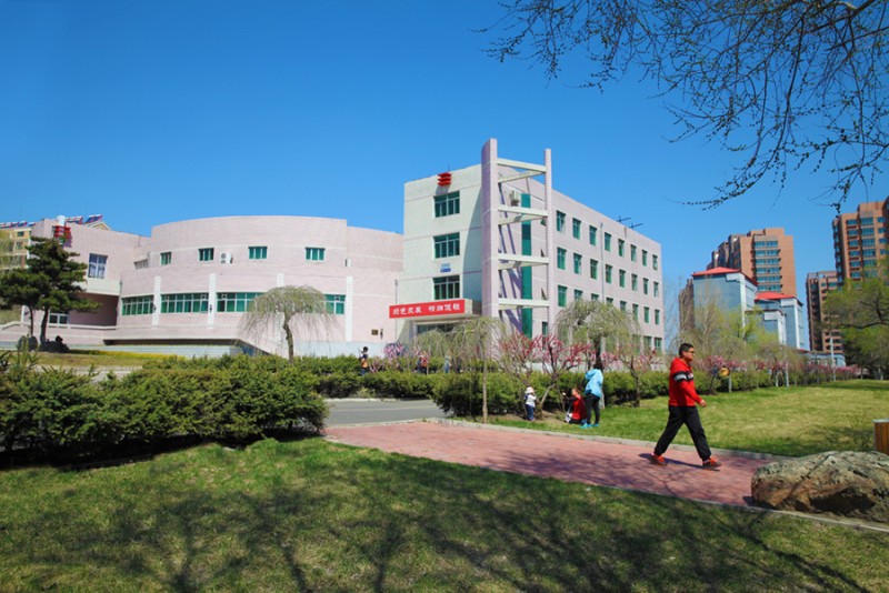 黑龙江工业学院数据科学与大数据技术专业在辽宁招生录取分数(物理类)：459分