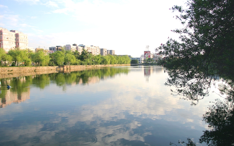 2023年东莞理工学院在重庆招生专业有哪些？学费是多少？