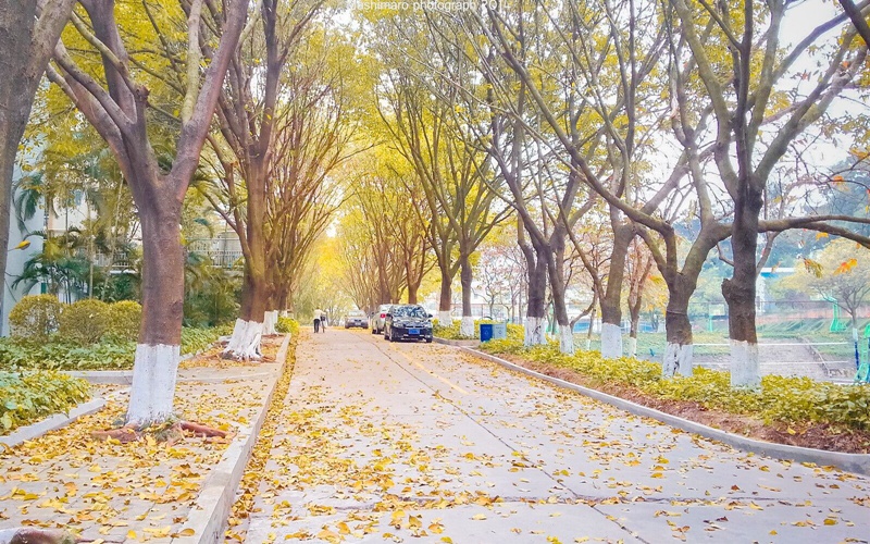 广东财经大学法学专业录取分数线【江苏高考历史类】