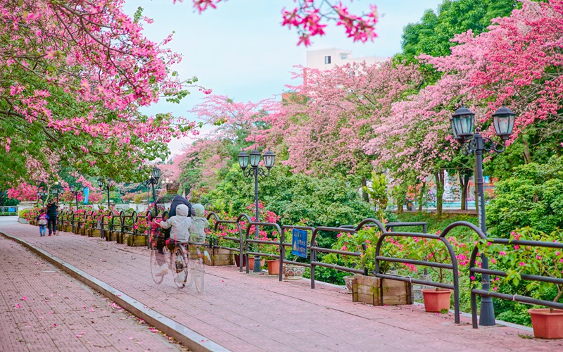 2023年广州软件学院在江苏招生专业及招生人数汇总