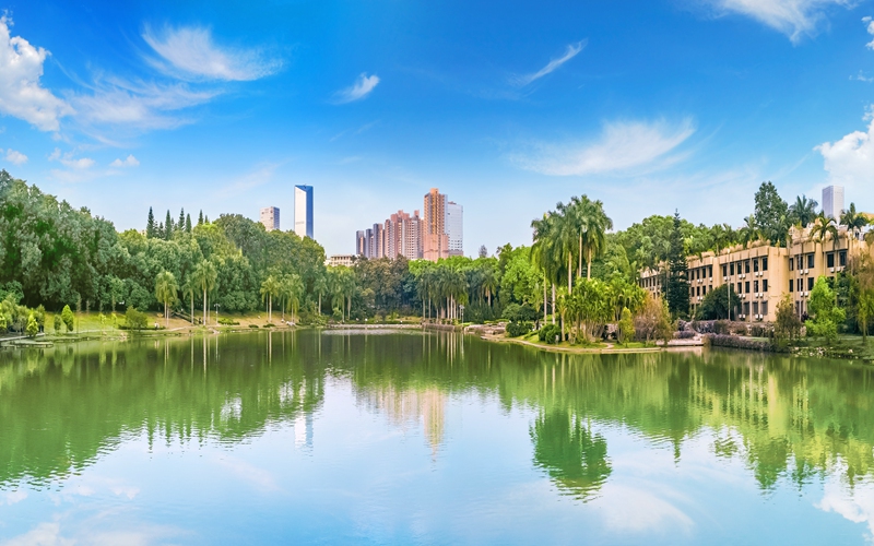 2023年深圳大学在广西招生专业及招生人数汇总