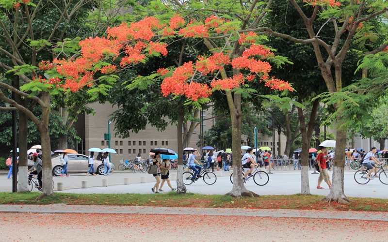 多少分可以上北京师范大学珠海分校？北京师范大学珠海分校2021年在河北各专业录取分数线