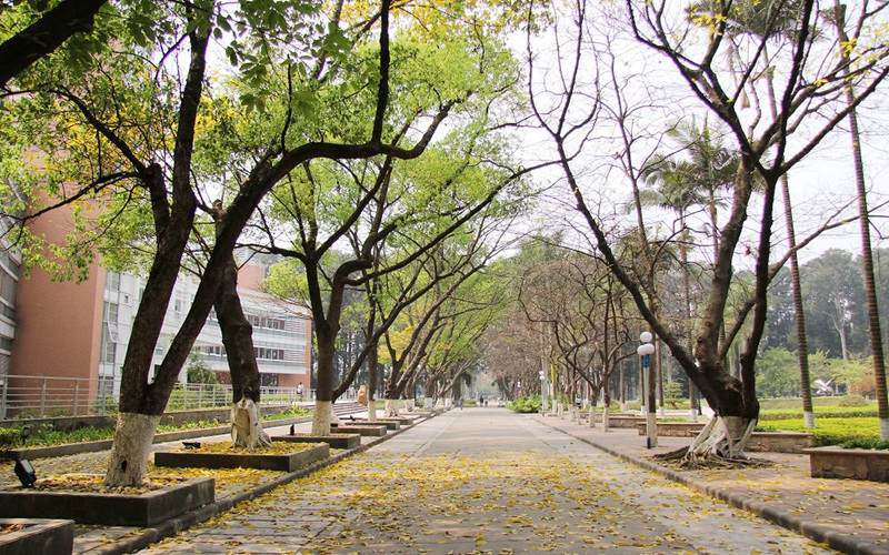 2023年广东外语外贸大学在江西招生专业及招生人数汇总(2024考生参考)