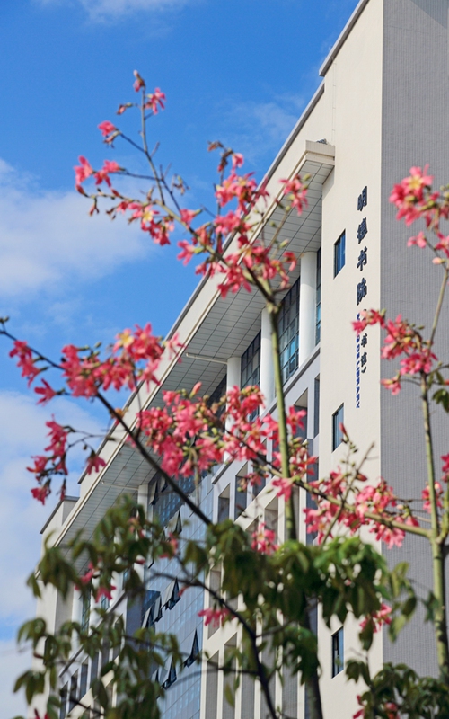 惠州城市职业学院2022青海文科招生专业及招生人数汇总