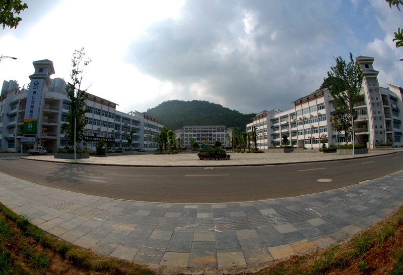2023年铜川职业技术学院在陕西招生专业及招生人数汇总