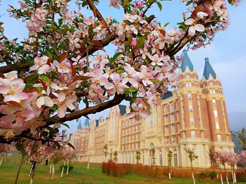 2023年贵州财经大学商务学院在黑龙江录取批次及录取分数参考