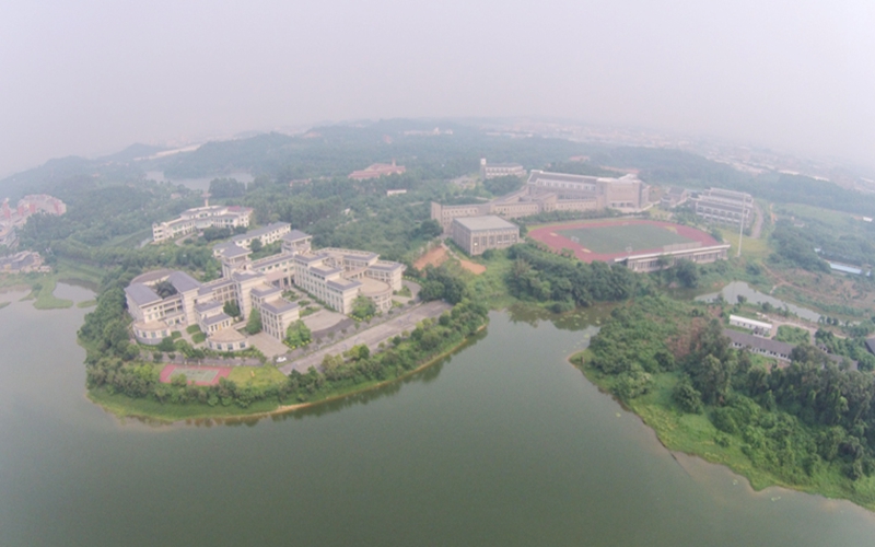 广东东软学院软件工程（中外合作办学）专业录取分数线【河北高考物理类】