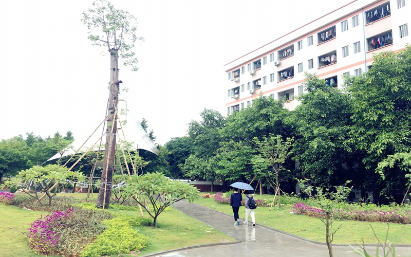 广州涉外经济职业技术学院中文专业在河北招生录取分数(历史类)：269分
