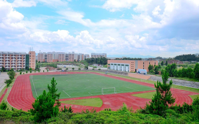 2023年广州体育职业技术学院在广东招生专业及招生人数汇总