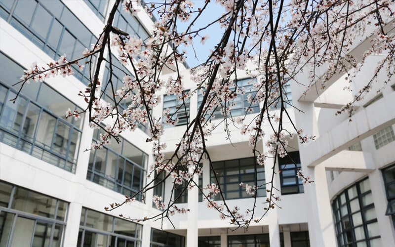 2024年东华大学智能科学与技术专业在浙江录取分数线参考
