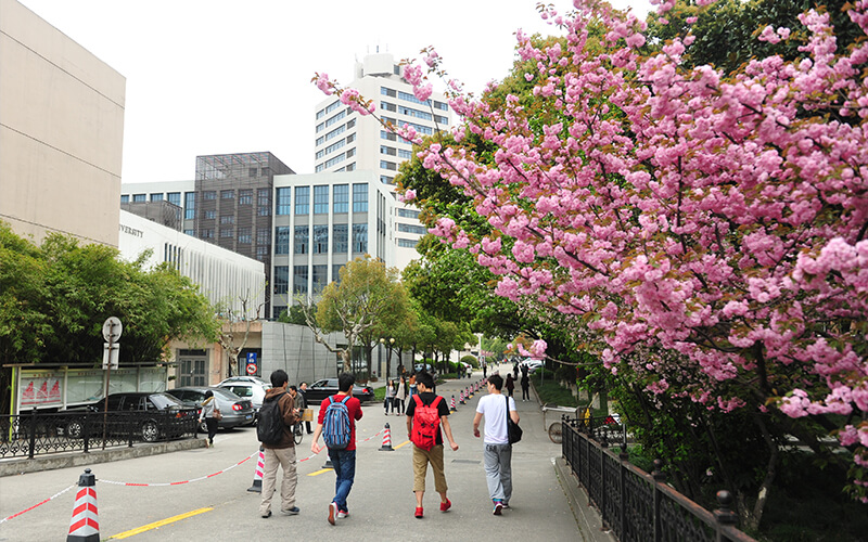 2022年东华大学在西藏招生专业及招生人数汇总（2023考生参考）