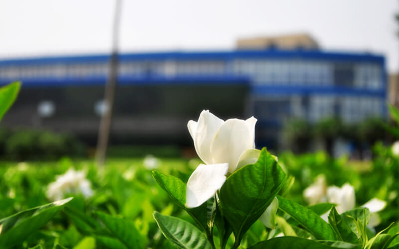 东华大学经济管理试验班专业录取分数线【四川高考理科】